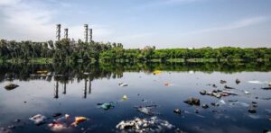 Garbage and Pollution at the Lakeside - Potential Hydrogen Sulfide Gas Environment